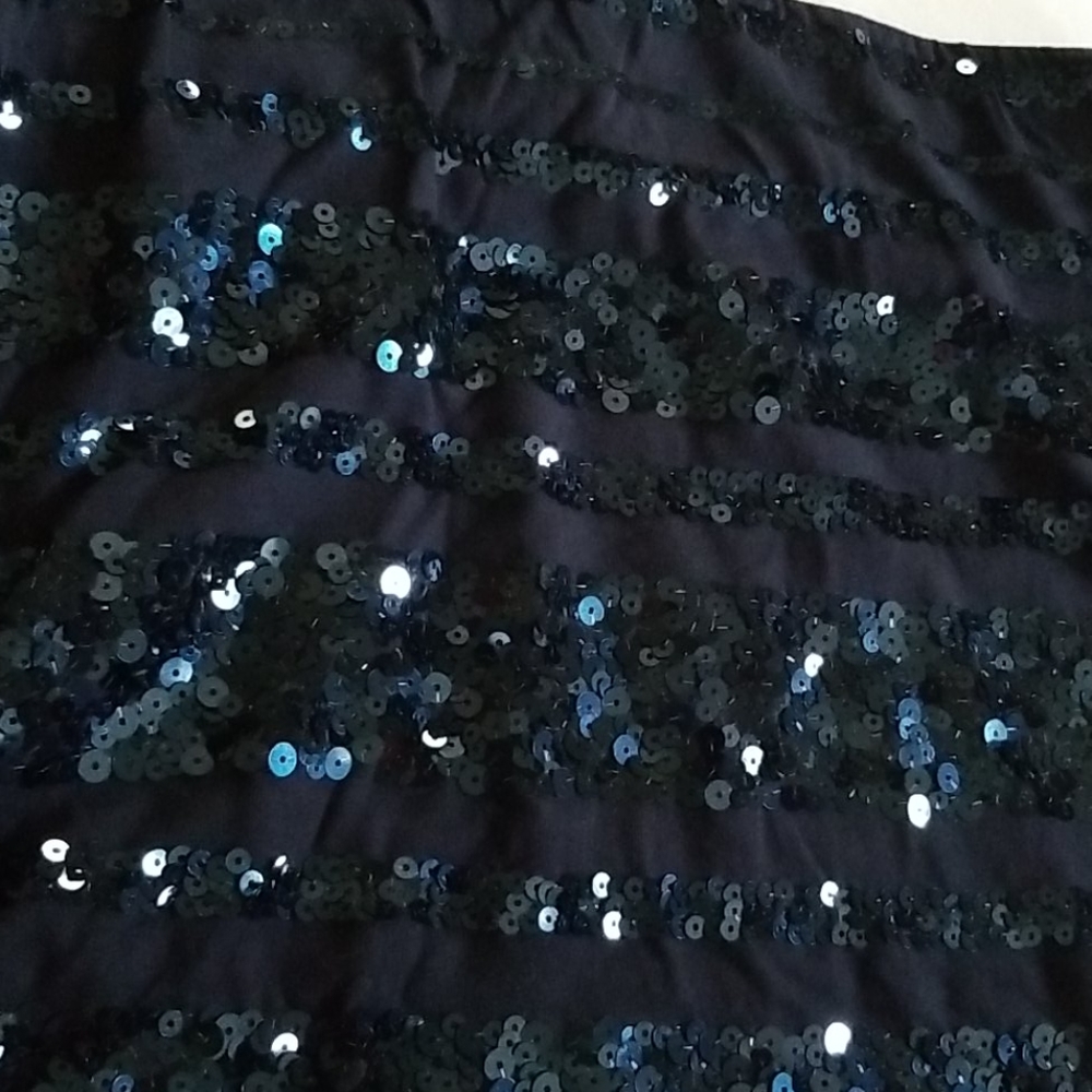 Skirt, Sequin, Express Xp View 2
